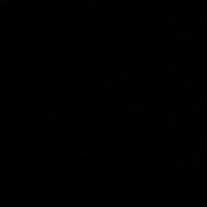 Meet your Posher, Adrian